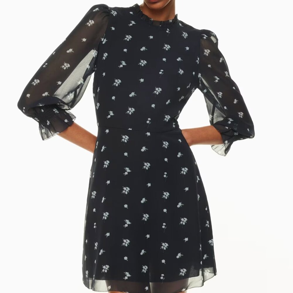 Aritzia Wilfred floral Swept dress